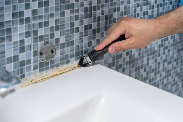 Best Mold Removal Company Near Me  in Lake Ssota, WI