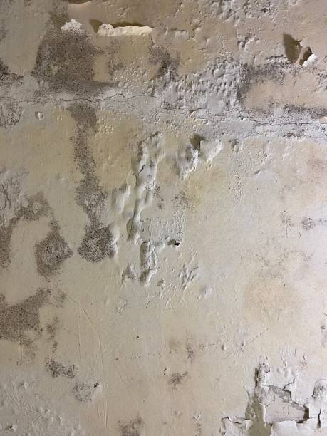 Water Damage Restoration in Lake Wissota, WI